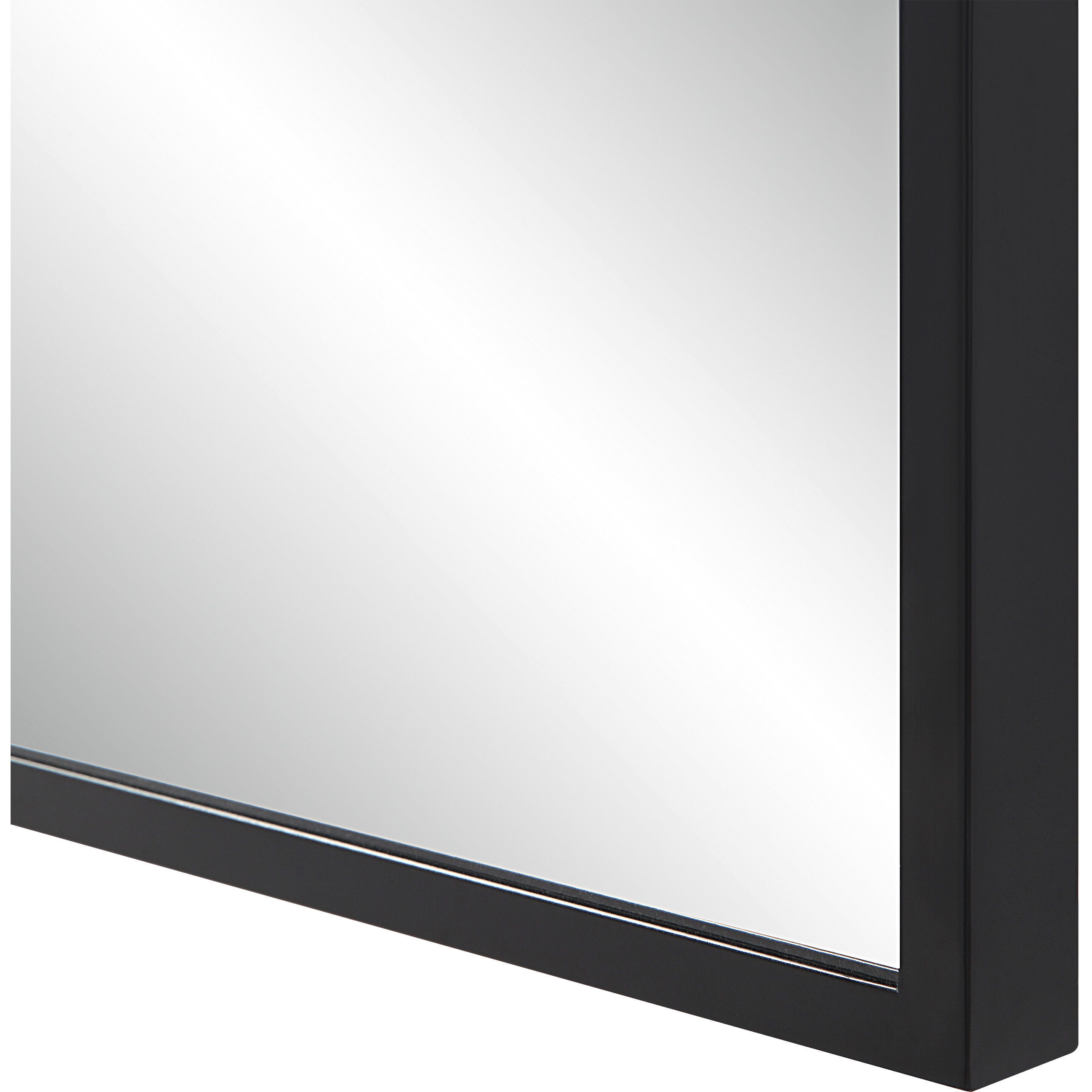 Balina 72 X 30 inch Matte Black Wall Mirror