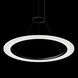 Arctic Rings LED 31 inch Satin Black Ring Pendant Ceiling Light