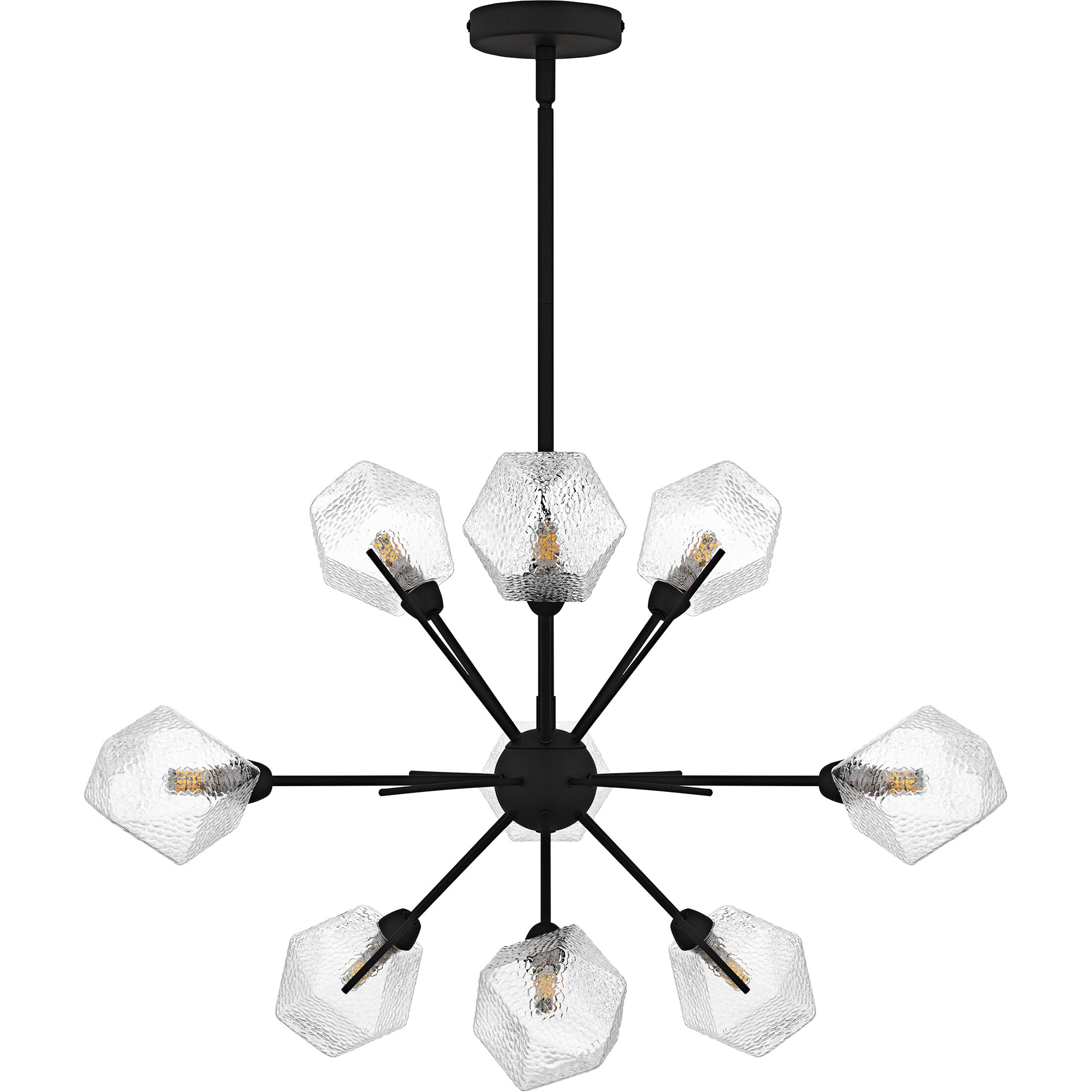 Salvador 9 Light 30 inch Earth Black Chandelier Ceiling Light