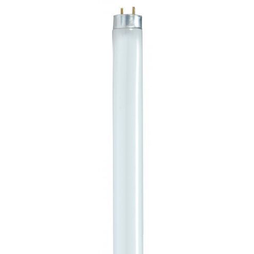 Lumos Fluorescent 32 watt 5000K Light Bulb, T8 Linear High Lumen