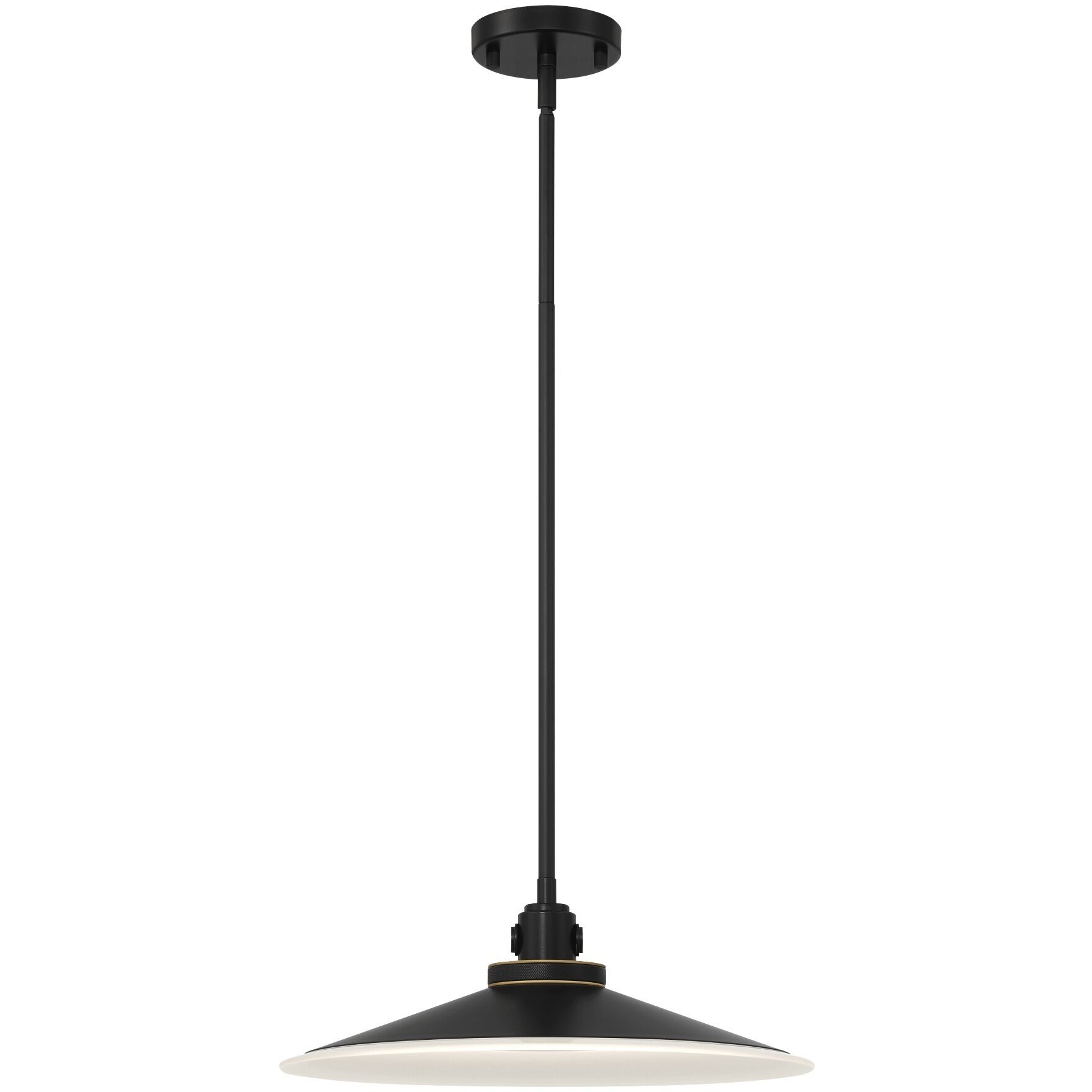 Deckard 1 Light 16 inch Gold and Black Outdoor Pendant