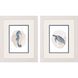Animals Collection Blue Framed Art