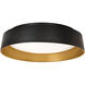 Duncan 1 Light 20 inch Black and Gold Flush Mount Ceiling Light