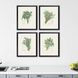 Culinary Collection Green Framed Art
