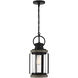 Parker 1 Light 8.5 inch Lodge Outdoor Hanging Lantern