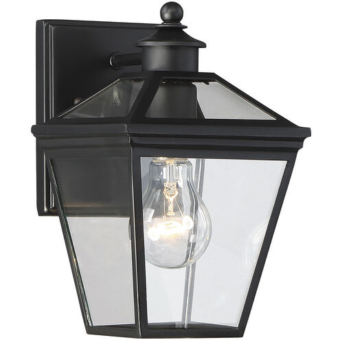 Ellijay Outdoor Wall Lantern in Black