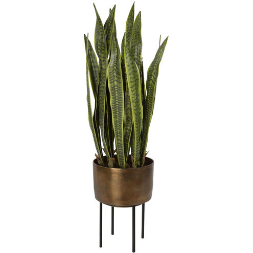 Fasita Antique Brass and Matte Black Planter