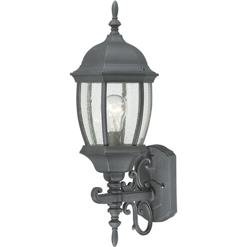 Covington 1 Light 21.5 inch Black with Clear Outdoor Wall Sconce