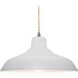 Radiance LED 15.5 inch Bisque and Brushed Nickel Pendant Ceiling Light