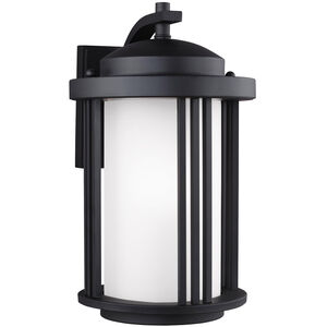 Crowell 1 Light 14.88 inch Black Outdoor Wall Lantern, Medium