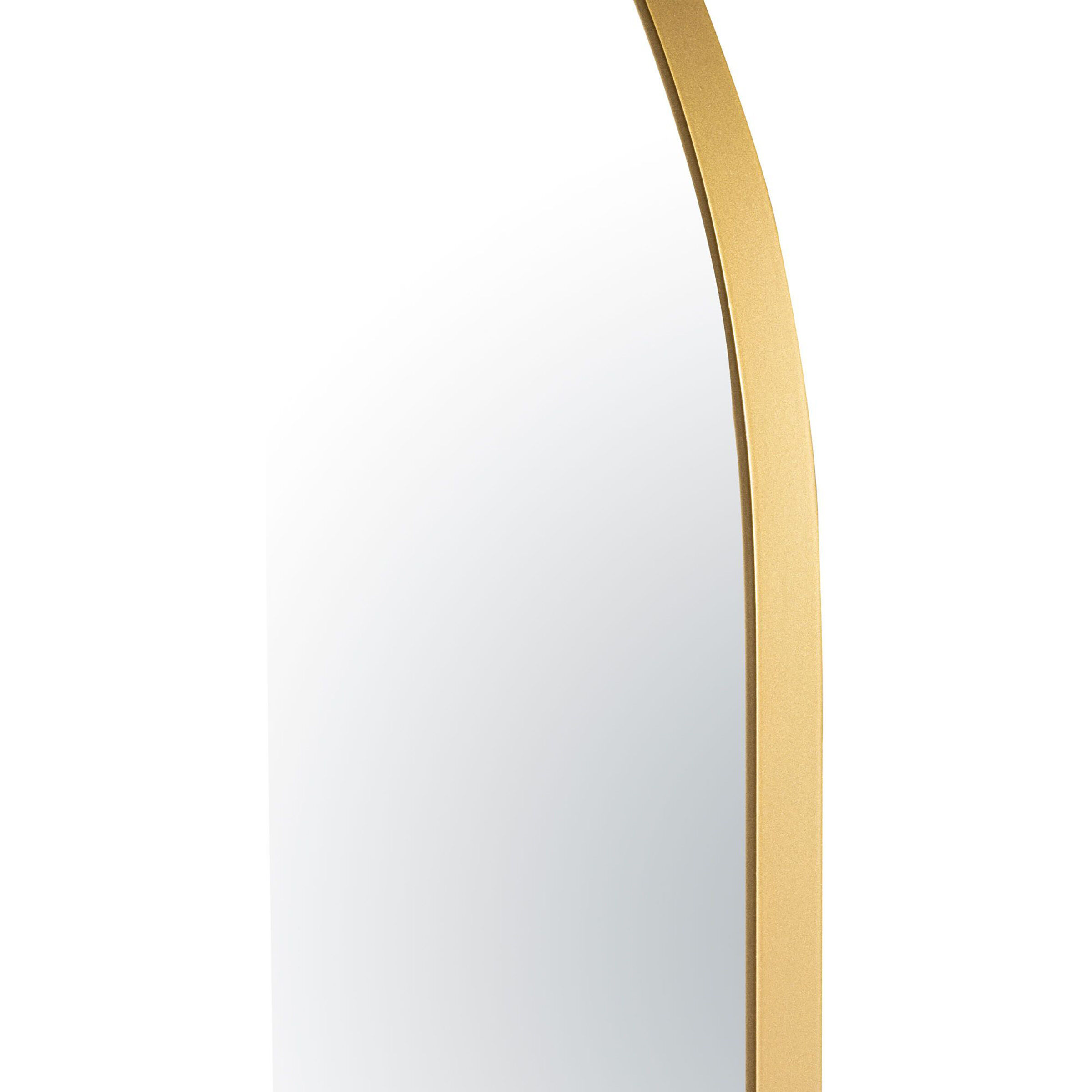 Capsule 60 X 24 inch Gold Wall Mirror