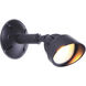 Bejamin LED Midnight Outdoor Flood