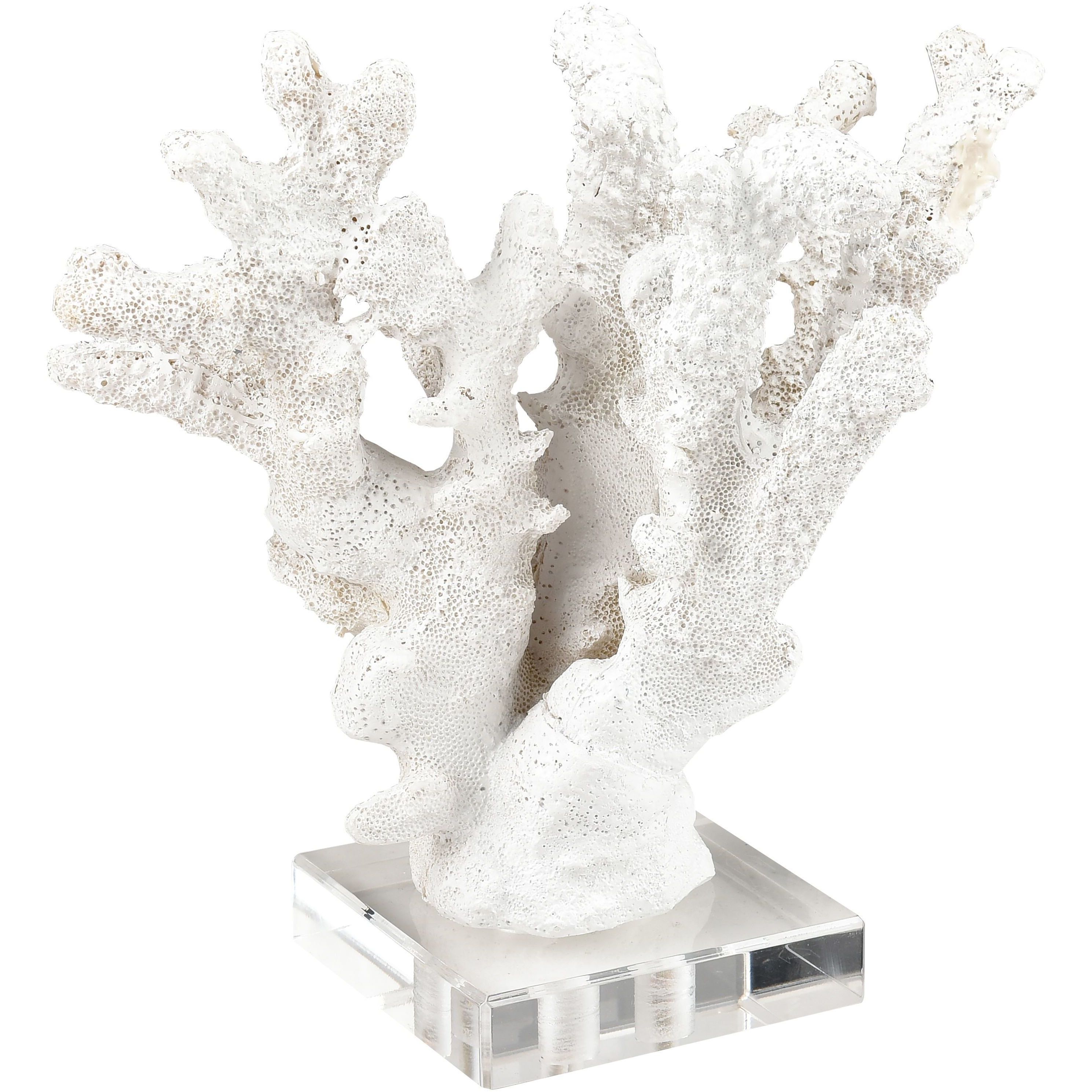 Coral 11.75 X 8.25 inch Sculpture, Set of 2