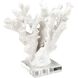 Coral 11.75 X 8.25 inch Sculpture, Set of 2