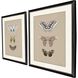 Paragon Beige and Brown and Gray and Pink Framed Art