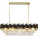Canada LED 12 inch Black and Gold Chandelier Ceiling Light