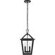 Frankford 2 Light 10 inch Black Outdoor Pendant