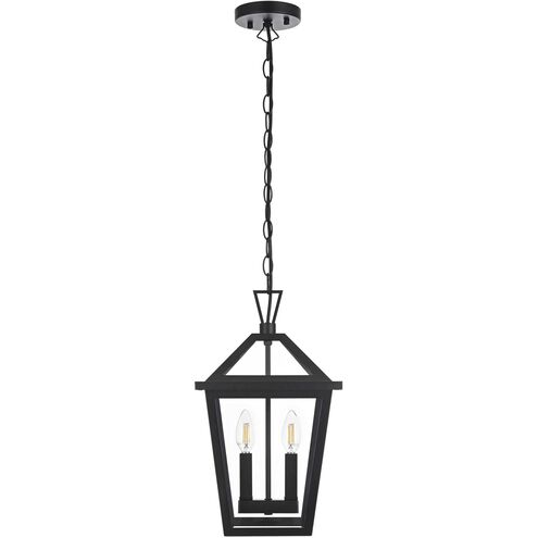 Frankford 2 Light 10 inch Black Outdoor Pendant