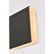 Raine Outdoor Wall Light in Black