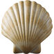 Ambiance LED 10.75 inch Scallop Shell ADA Wall Sconce Wall Light