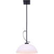 Mack 1 Light 13 inch Black Pendant Lighting Ceiling Light