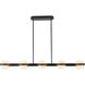 Selene 48 inch Black Linear Pendant Ceiling Light