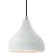 Radiance LED 8 inch Gloss White and Brushed Nickel Pendant Ceiling Light