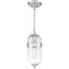 Fathom 1 Light 6 inch Polished Nickel and Clear Mini Pendant Ceiling Light