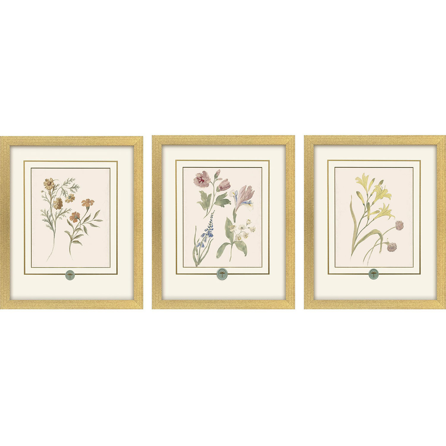 Garden Study Green and Pink and Multi and Yellow Framed Art