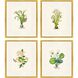 Delicate Medley Multi and Green and White and Pink Framed Art