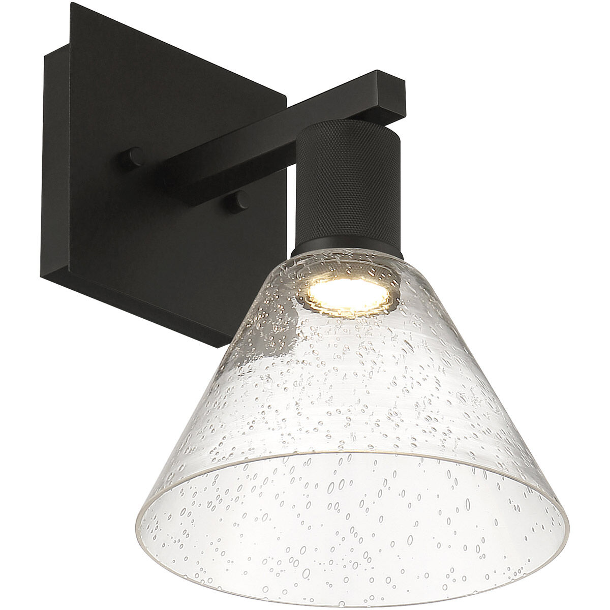 Port Nine Wall Sconce Wall Light in Matte Black, Seeded