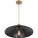 Segan 1 Light 20 inch Coal & Soft Brass (Painted) Pendant Ceiling Light, Outdoor