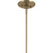 Phix LED 30.75 inch Champagne Bronze with Black Chandelier Ceiling Light in Brushed Gold and Champagne Bronze