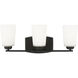 Franport 3 Light 21 inch Midnight Black Wall Bath Fixture Wall Light