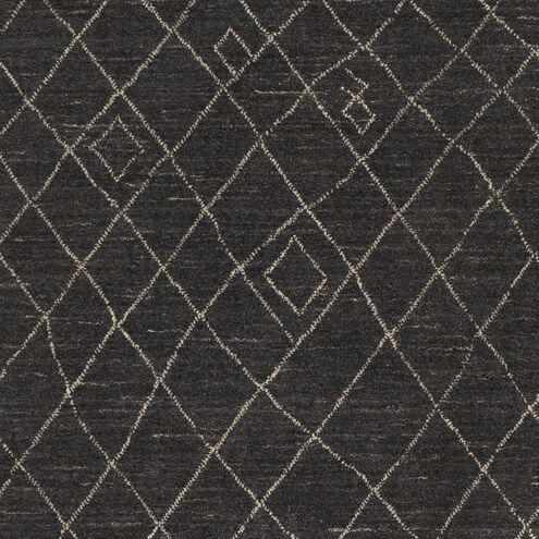 Arlequin 36 X 24 inch Black Rug in 2 x 3, Rectangle