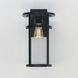 Clyde Vivex 1 Light 17 inch Black Outdoor Wall Mount