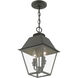 Wentworth 2 Light 9 inch Charcoal Outdoor Pendant Lantern, Medium