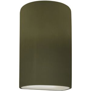 Ambiance LED 7.75 inch Matte Green Wall Sconce Wall Light