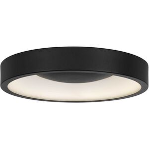 Stellar 14.00 inch Outdoor Ceiling Light