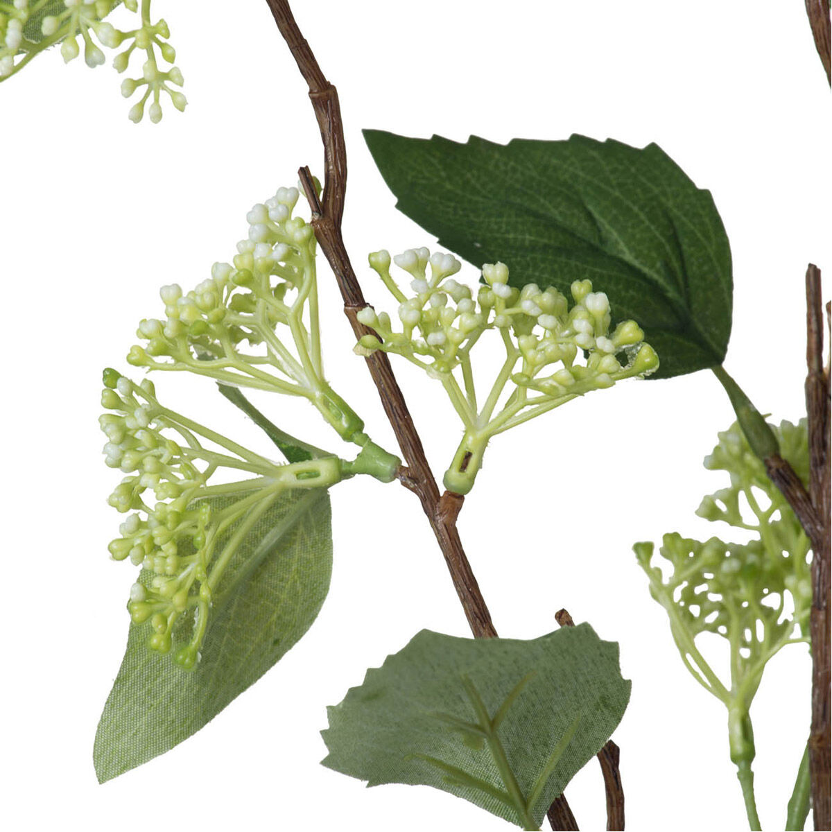 Fruit Spray White Green Flowers