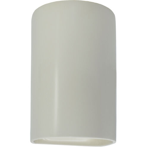 Ambiance 1 Light 9.5 inch Matte White Outdoor Wall Sconce in Incandescent, Small