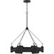 Lisa McDennon Raffi LED 30 inch Carbon Black Chandelier Ceiling Light