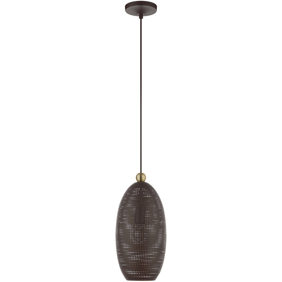 Dublin 1 Light 7 inch Bronze with Antique Brass Accents Pendant Ceiling Light