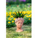 Shelby 15.9 X 9.1 inch Vase