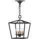 Denison 4 Light 12 inch Mole Black Lantern Pendant Ceiling Light, Small