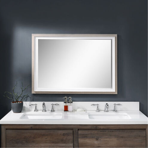 Mitra 40 X 28 inch Vanity Mirror