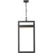 Luttrel LED 11.75 inch Black Outdoor Chain Mount Ceiling Fixture