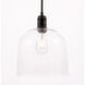 Codorus 1 Light 10 inch Black Pendant Ceiling Light