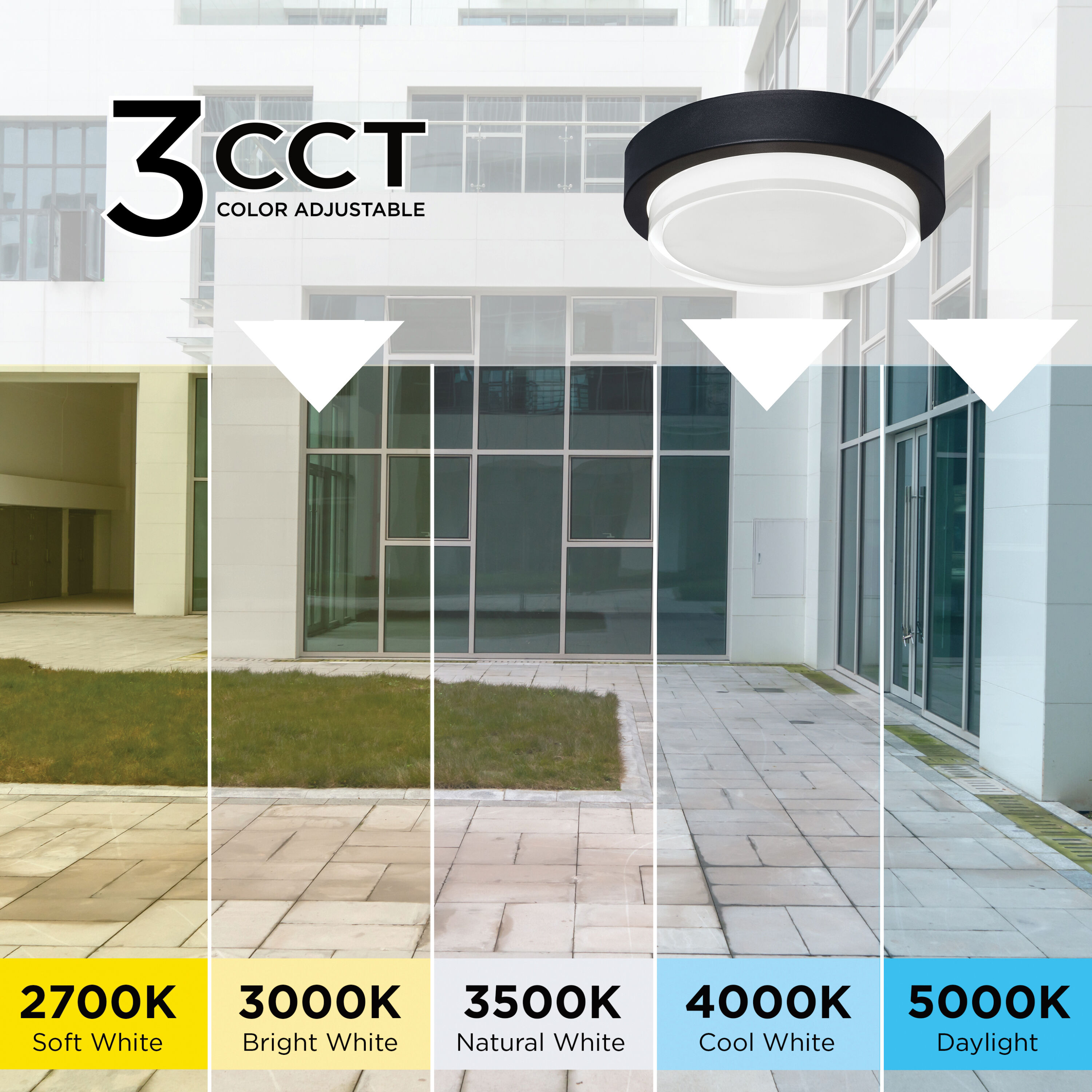 Elm LED 9 inch Black Outdoor Flush Mount