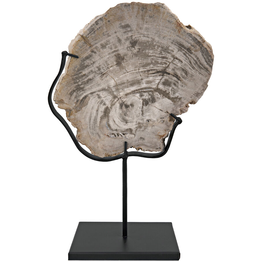 Wood Fossil Matte Black Statue